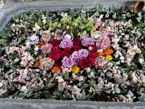 於菊稲荷神社(群馬県)