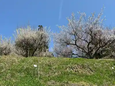 国宝 大法寺(長野県)