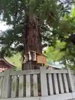 諏訪大社下社秋宮(長野県)