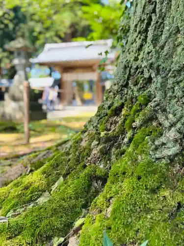 守りの神　藤基神社の庭園