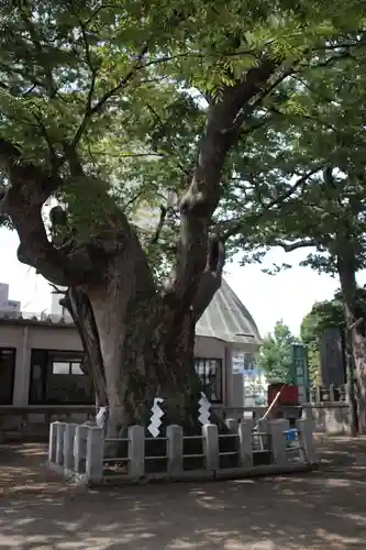 阿邪訶根神社の自然
