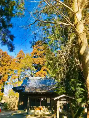 岡見八坂神社の本殿・本堂