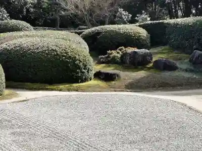 慈光院の{uncategorized: "未分類", other: "その他", undefined: "問題あり", building: "その他建物", grave: "お墓", sacred_gate: "鳥居", guardian: "狛犬", statue: "像", buddha: "仏像", history: "歴史", nature: "自然", garden: "庭園", animal: "動物", pagoda: "塔", temizu: "手水舎", mountain_gate: "山門・神門", sanctuary: "本殿・本堂", subordinate: "末社・摂社", art: "芸術", scenery: "景色", jizo: "地蔵", ema: "絵馬", goshuin: "御朱印", omikuji: "おみくじ", items: "授与品その他", amulet: "お守り", goshuincho: "御朱印帳", eats: "食事", festival: "お祭り", votive_dance: "神楽", shichigosan: "七五三参", wedding: "結婚式", experience: "体験その他", initially: "初詣", around: "周辺", anti_infection: "感染症対策"}