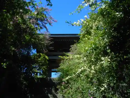 海蔵寺の山門・神門