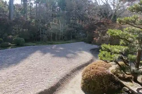 曼殊院門跡の庭園