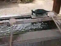 八坂神社の手水舎