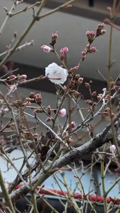 車折神社(京都府)