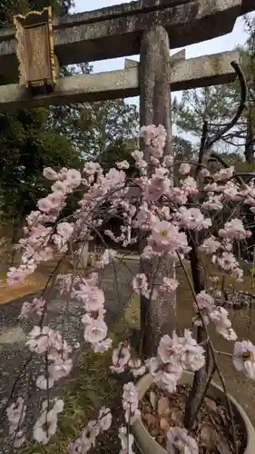 新日吉神宮(京都府)