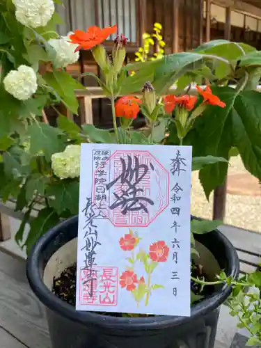 妙蓮寺の御朱印