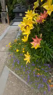 正福寺(大阪府)