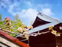 滑川神社 - 仕事と子どもの守り神の自然