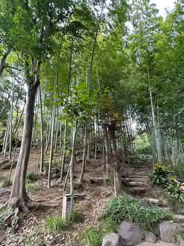 明王院（満願寺別院）の自然
