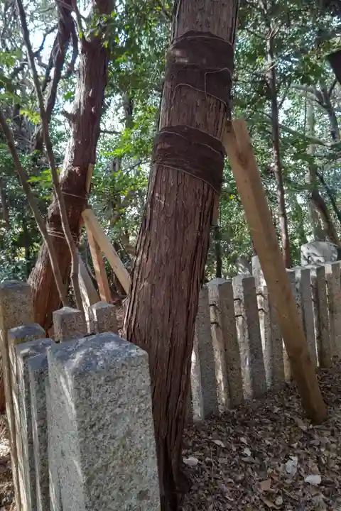 御嶽神社のその他建物