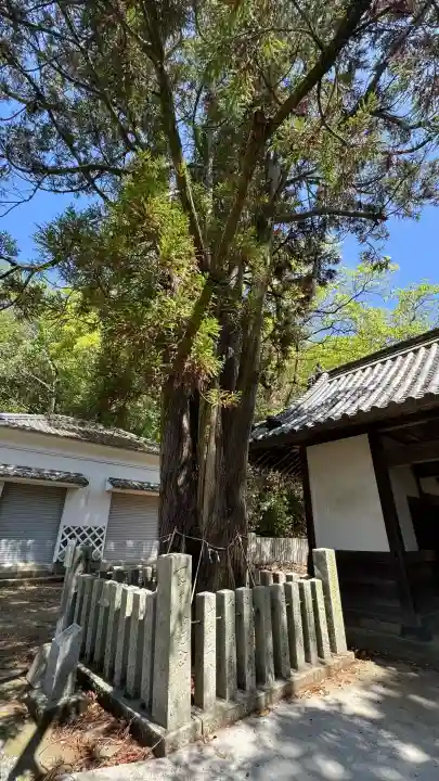 飯神社の{uncategorized: "未分類", other: "その他", undefined: "問題あり", building: "その他建物", grave: "お墓", sacred_gate: "鳥居", guardian: "狛犬", statue: "像", buddha: "仏像", history: "歴史", nature: "自然", garden: "庭園", animal: "動物", pagoda: "塔", temizu: "手水舎", mountain_gate: "山門・神門", sanctuary: "本殿・本堂", subordinate: "末社・摂社", art: "芸術", scenery: "景色", jizo: "地蔵", ema: "絵馬", goshuin: "御朱印", omikuji: "おみくじ", items: "授与品その他", amulet: "お守り", goshuincho: "御朱印帳", eats: "食事", festival: "お祭り", votive_dance: "神楽", shichigosan: "七五三参", wedding: "結婚式", experience: "体験その他", initially: "初詣", around: "周辺", anti_infection: "感染症対策"}