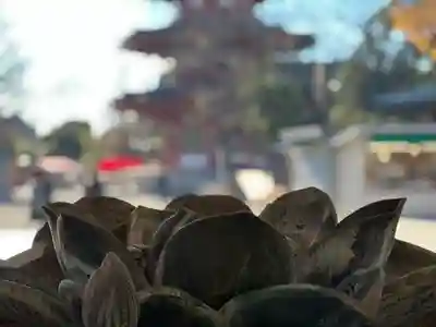 川崎大師（平間寺）(神奈川県)