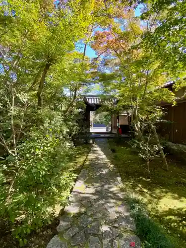 善法律寺の山門・神門