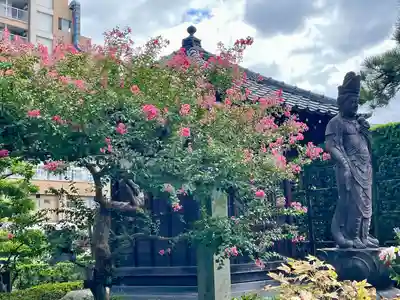 観音寺(東京都)