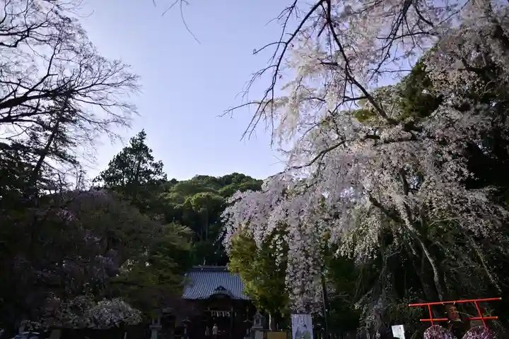 伊豆山神社(静岡県)