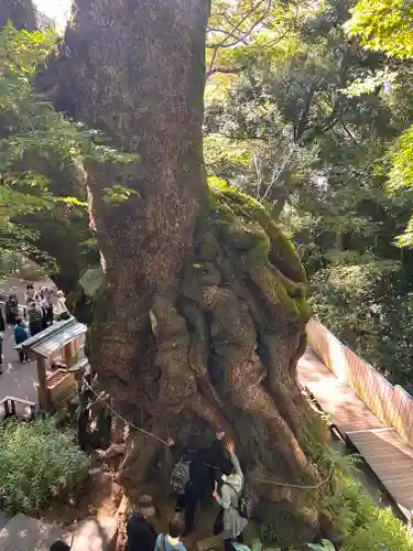來宮神社(静岡県)