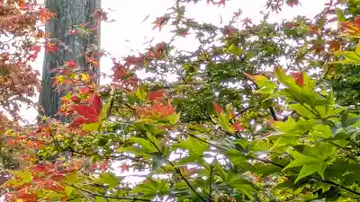 大法院(京都府)