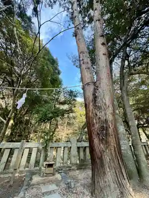 早瀧比咩神社(岡山県)