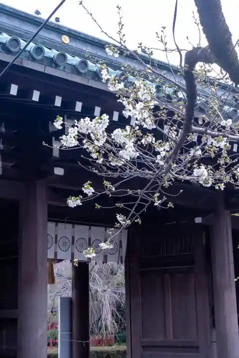 三嶋大社(静岡県)