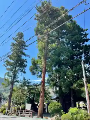 初鹿野諏訪神社(山梨県)