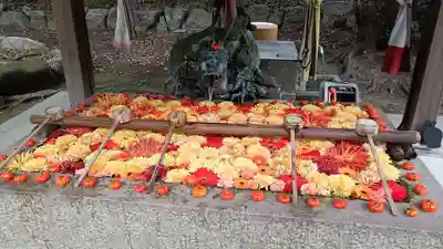 清洲山王宮　日吉神社(愛知県)