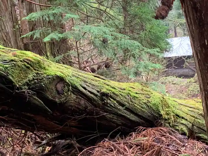 早池峯神社の自然