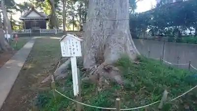 神明宮（御園）の自然