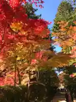 壇上伽藍の自然