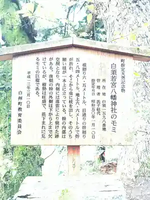 若宮八幡神社(山梨県)