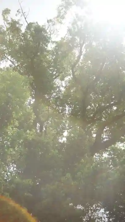 法楽寺(大阪府)