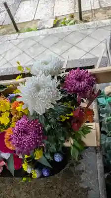 勝林寺(京都府)