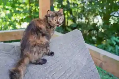 東隆寺(山口県)