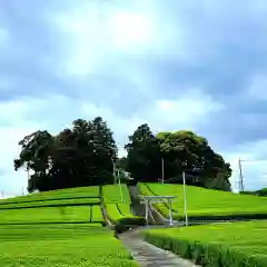 天王神社の鳥居