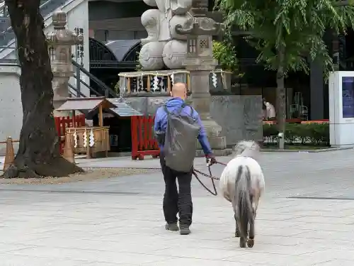 神田神社（神田明神）(東京都)