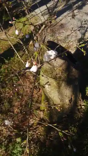 網戸神社の自然