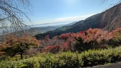 善峯寺(京都府)