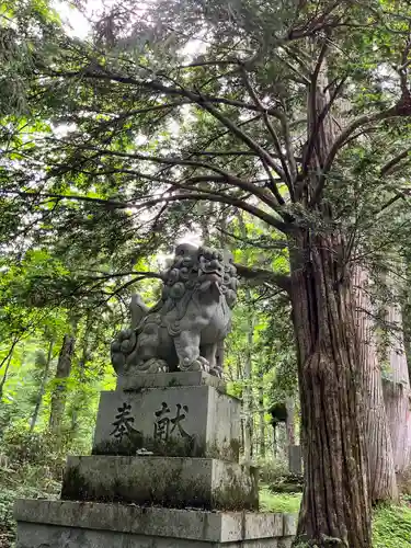 戸隠神社奥社の狛犬