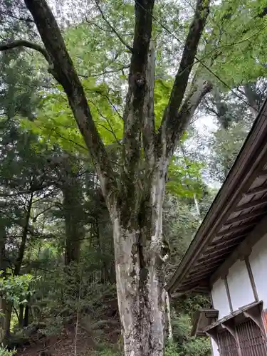 丹生川上神社（下社）(奈良県)