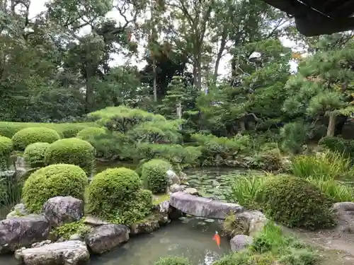 穴太寺の庭園