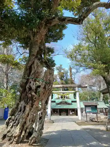 一言主神社(茨城県)