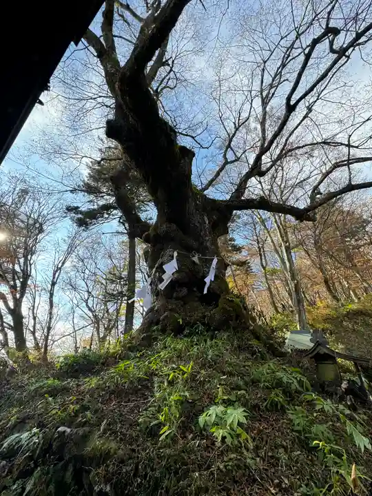 熊野皇大神社(長野県)