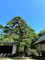 皇大神社(真田御屋敷跡)(長野県)