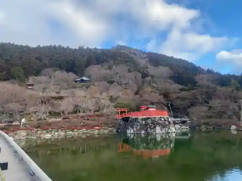 勝尾寺の{uncategorized: "未分類", other: "その他", undefined: "問題あり", building: "その他建物", grave: "お墓", sacred_gate: "鳥居", guardian: "狛犬", statue: "像", buddha: "仏像", history: "歴史", nature: "自然", garden: "庭園", animal: "動物", pagoda: "塔", temizu: "手水舎", mountain_gate: "山門・神門", sanctuary: "本殿・本堂", subordinate: "末社・摂社", art: "芸術", scenery: "景色", jizo: "地蔵", ema: "絵馬", goshuin: "御朱印", omikuji: "おみくじ", items: "授与品その他", amulet: "お守り", goshuincho: "御朱印帳", eats: "食事", festival: "お祭り", votive_dance: "神楽", shichigosan: "七五三参", wedding: "結婚式", experience: "体験その他", initially: "初詣", around: "周辺", anti_infection: "感染症対策"}