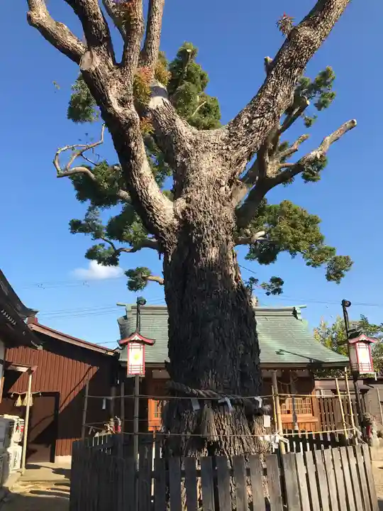 比枝神社のその他建物