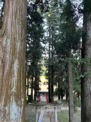 大宮温泉神社(栃木県)