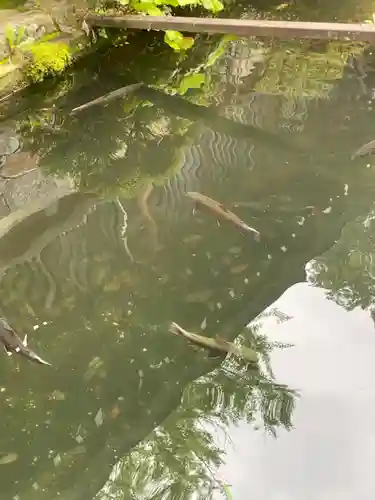 飛驒一宮水無神社(岐阜県)