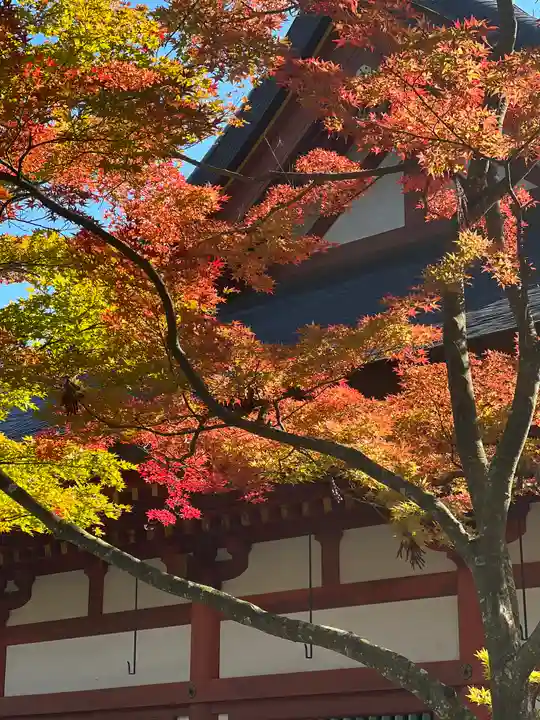 毛越寺(岩手県)
